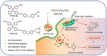 Graphical abstract: Novel aggregation-induced emission-photosensitizers with built-in capability of mitochondria targeting and glutathione depletion for efficient photodynamic therapy