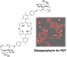 Graphical abstract: d-Mannose-appended 5,15-diazaporphyrin for photodynamic therapy
