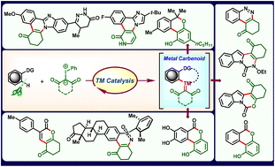 Graphical abstract: Iodonium ylides: an emerging and alternative carbene precursor for C–H functionalizations