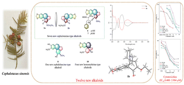 Graphical abstract: Cytotoxic alkaloids from the twigs and leaves of Cephalotaxus sinensis