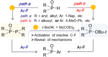 Graphical abstract: Ni-catalyzed C–F activation to construct C–P bond with P–P(O) and P(O)OR mediation