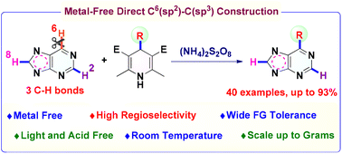 Graphical abstract: Metal-free direct C-6–H alkylation of purines and purine nucleosides enabled by oxidative homolysis of 4-alkyl-1,4-dihydropyridines at room temperature