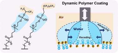 Graphical abstract: Fluorinated zwitterionic polymers as dynamic surface coatings