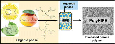 Graphical abstract: Terpenes as natural building blocks for the synthesis of hierarchically porous polymers: bio-based polyHIPEs with high surface areas