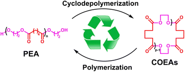 Graphical abstract: An efficient cyclodepolymerization route for the chemical recycling of poly(ethylene adipate)