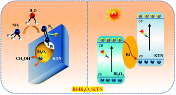 Graphical abstract: A novel Z-scheme Bi-Bi2O3/KTa0.5Nb0.5O3 heterojunction for efficient photocatalytic conversion of N2 to NH3
