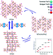 Graphical abstract: Centrosymmetric Rb[Te2O4(OH)5] and noncentrosymmetric K2[Te3O8(OH)4]: metal tellurates with corner and edge-sharing (Te4O18)12− anion groups