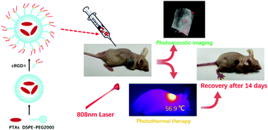 Graphical abstract: Molecular engineering of organic small-molecule photothermal agents by changing the donor group for photothermal therapy and photoacoustic imaging of tumors