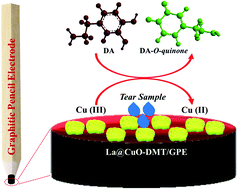 Graphical abstract: Functionalized thiazolidone-decorated lanthanum-doped copper oxide: novel heterocyclic sea sponge morphology for the efficient detection of dopamine