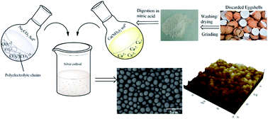Graphical abstract: Tuning polymorphs of precipitated calcium carbonate from discarded eggshells: effects of polyelectrolyte and salt concentration
