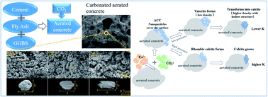 Graphical abstract: Morphological characteristics of calcium carbonate crystallization in CO2 pre-cured aerated concrete