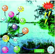Graphical abstract: Ultrasound-assisted transition-metal-free catalysis: a sustainable route towards the synthesis of bioactive heterocycles