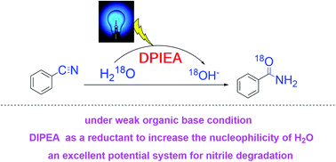 Graphical abstract: DIPEA-induced activation of OH− for the synthesis of amides via photocatalysis