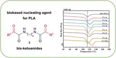 Graphical abstract: Synthesis of symmetric bis-α-ketoamides from renewable starting materials and comparative study of their nucleating efficiency in PLLA
