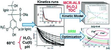 Graphical abstract: Combining multivariate curve resolution and lumped kinetic modelling for the analysis of lignin degradation by copper-catalyzed Fenton-like systems