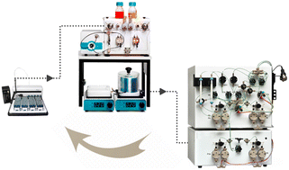Graphical abstract: Enhanced flow synthesis of small molecules by in-line integration of sequential catalysis and benchtop twin-column continuous chromatography