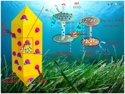 Graphical abstract: Fabrication of MIL-53(Fe)/Ag3PO4 cooperative photoreduction of Ag0 particles with outstanding efficiency for photodriven H2 evolution and pollutant degradation
