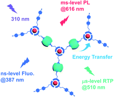 Graphical abstract: A tunable full-color lanthanide noncovalent polymer based on cucurbituril-mediated supramolecular dimerization