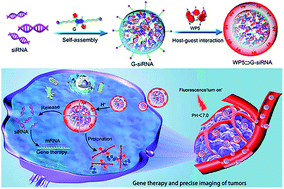 Graphical abstract: Modular and hierarchical self-assembly of siRNAs into supramolecular nanomaterials for soft and homogeneous siRNA loading and precise and visualized intracellular delivery