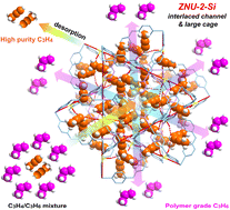 Graphical abstract: Insights into the thermodynamic–kinetic synergistic separation of propyne/propylene in anion pillared cage MOFs with entropy–enthalpy balanced adsorption sites