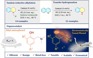 Graphical abstract: Electrostatically tuned phenols: a scalable organocatalyst for transfer hydrogenation and tandem reductive alkylation of N-heteroarenes