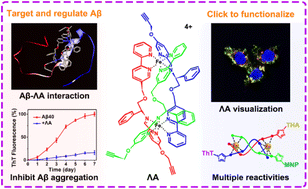 Graphical abstract: In vivo visualization of enantioselective targeting of amyloid and improvement of cognitive function by clickable chiral metallohelices
