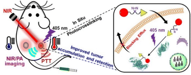 Graphical abstract: A tumor-targetable NIR probe with photoaffinity crosslinking characteristics for enhanced imaging-guided cancer phototherapy
