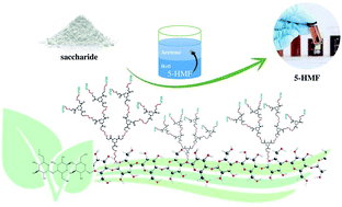 Graphical abstract: Sulfonic acid functionalized dendrimer-grafted cellulose as a solid acid catalyst for the high-yield and green production of 5-hydroxymethylfurfural