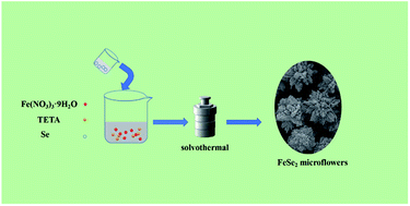 Graphical abstract: Self-assembled monodisperse FeSe2 microflowers as an advanced anode material for sodium ion batteries