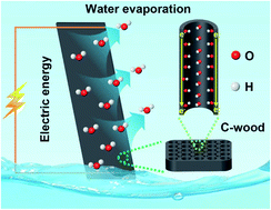 Graphical abstract: Electricity generation from water evaporation through highly conductive carbonized wood with abundant hydroxyls