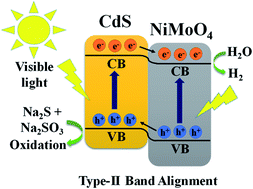 Graphical abstract: Rational design of 1D NiMoO4/0D CdS heterostructures for efficient photocatalytic hydrogen generation under visible light
