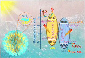 Graphical abstract: Construction of strongly coupled 2D–2D SnS2/CdS S-scheme heterostructures for photocatalytic hydrogen evolution