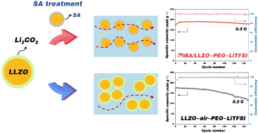 Graphical abstract: Salicylic acid treated Li7La3Zr2O12 achieves dual functions for a PEO-based solid polymer electrolyte in lithium metal batteries