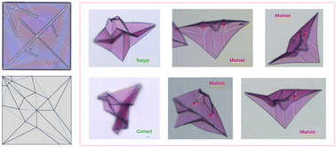 Graphical abstract: Robust folding of elastic origami