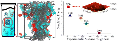 Graphical abstract: Effect of solvent on the emulsion and morphology of polyfluorene films: all-atom molecular dynamics approach