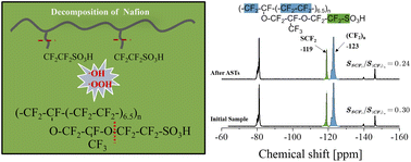 Graphical abstract: New insights into degradation of Fe–N–C catalyst layers: ionomer decomposition