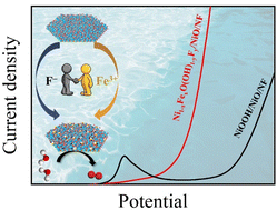 Graphical abstract: (Fe, F) co-doped nickel oxyhydroxide for highly efficient oxygen evolution reaction