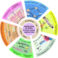 Graphical abstract: Current status and prospects of metal–organic frameworks for bone therapy and bone repair