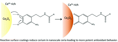 Graphical abstract: Increasing the antioxidant capacity of ceria nanoparticles with catechol-grafted poly(ethylene glycol)