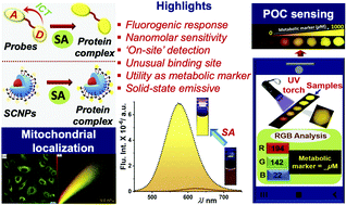 Graphical abstract: Rationally designed far-red emitting styryl chromones and a magnetic nanoconjugate for strip-based ‘on-site’ detection of metabolic markers