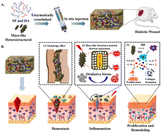 Graphical abstract: A mace-like heterostructural enriched injectable hydrogel composite for on-demand promotion of diabetic wound healing