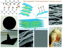 Graphical abstract: A bio-inspired MXene/quaternary chitosan membrane with a “brick-and-mortar” structure towards high-performance photothermal conversion