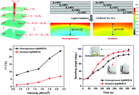 Graphical abstract: A high-efficiency actuator with great photoinduced force based on a bioinspired gradient design