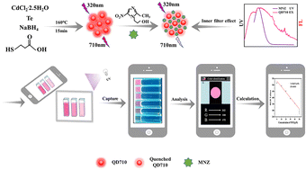 Graphical abstract: Inner filter effect-based near-infrared fluorescent probe for detection of metronidazole on a smartphone-integrated analytical platform