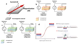Graphical abstract: Magnetic nanoprobe-enabled lateral flow assays: recent advances