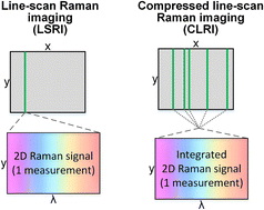 Graphical abstract: A critical evaluation of compressed line-scan Raman imaging