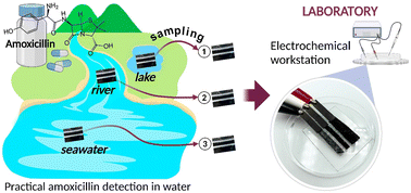 Graphical abstract: A green cellulose nanofiber-based printed electrode for practical highly sensitive amoxicillin detection