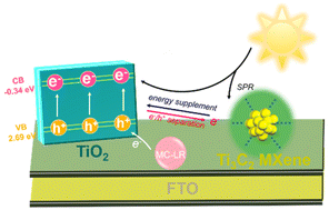 Graphical abstract: Ti3C2 MXene improved photoelectrochemical anode assembly of titanium dioxide nanoarrays for microcystin-LR detection