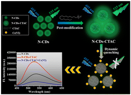 Graphical abstract: Surfactant encapsulating N-doped carbon dots with enhanced optical properties as a selective sensor for Cr(vi) detection