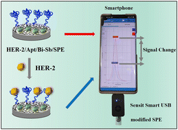 Graphical abstract: A label-free electrochemical aptasensor based on Bi–Sb alloy materials for potential POCT of HER-2